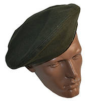 Берет полинь