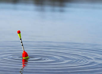 Поплавці, сигналізатори клювання, свінгери