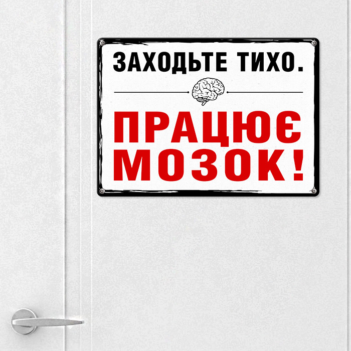 Табличка металева Заходьте тихо. Працює мозок 26х18,5 см (MET_20J015_WH), фото 1