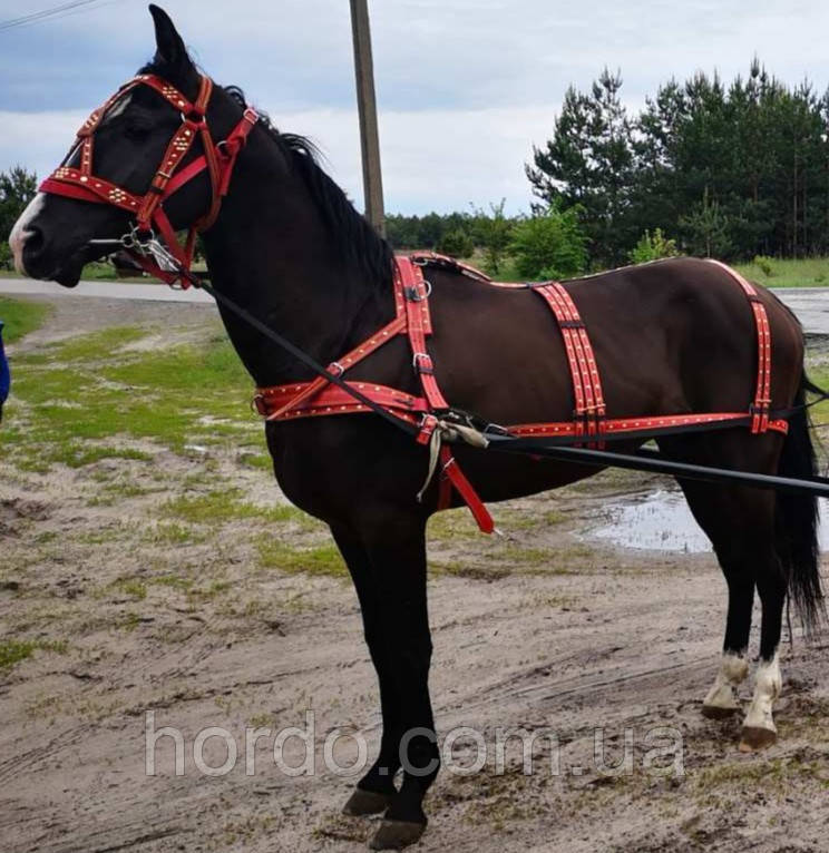 Амуніція упряж червона в карету,оздоблена,ручна робота, фото 1