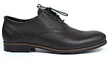 Коричневі туфлі шкіряні броги чоловіче взуття великих розмірів Rosso Avangard BS Felicete Uomo Brown Crest, фото 2