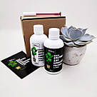 Добриво для кімнатних рослин White and Black, фото 4