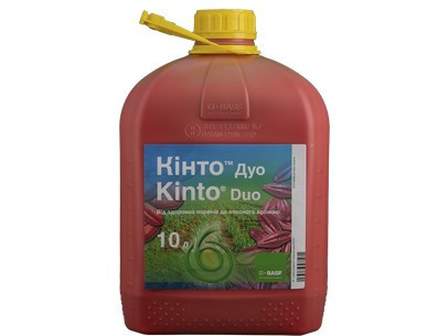 Кінто Дуо BASF 10 л фунгіцидний протравник насіння для пшениці, ячменю від хвороб зернових