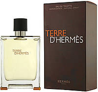 Чоловічі парфуми Hermes Terre D'Hermes (Гермес Де Гермес) Туалетна вода 100 ml/мл