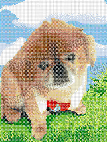 Пекинес. Схема Полной Зашивки Бисером (ID#1220464900), Цена: 135.