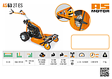 Кущоріз AS Motor AS 63 2T ES, фото 2