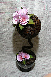 Кавове дерево