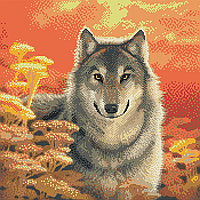 Степовий вовк. Схема повної вишивки бісером