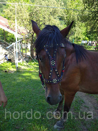 Купить Кантарка, цена 1200 ₴ — Prom.ua (ID#1220757954)