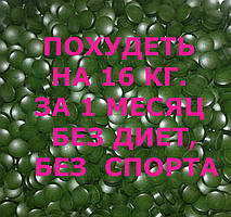 Новий жироспальник Спіруліна з L-карнітином для схуднення. Здуріти на 16 кілограмів на місяць!