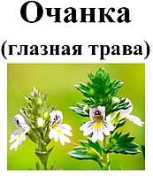 Очанка (глазная трава), трава сухая, 20 грамм.