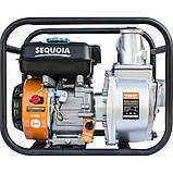 Мотопомпа бензинова для чистої води SEQUOIA SPP1000, фото 5