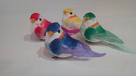 Пташка декоративна