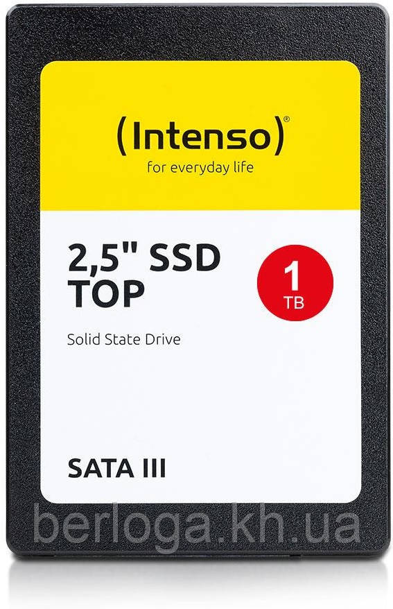 Intenso TOP 1 TB (3812460)