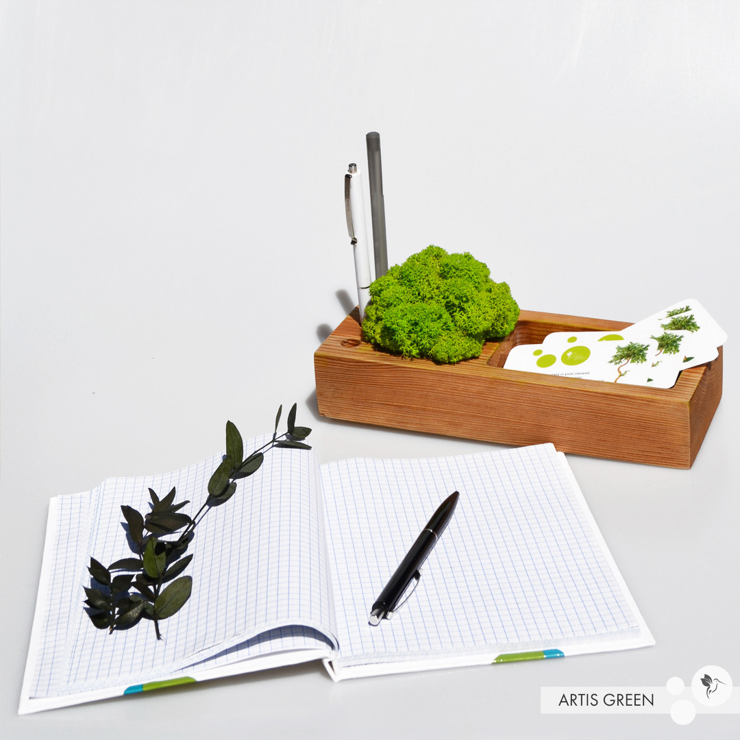 Органайзер для канцелярії 2.0 зі стабілізованим мохом, салатовий