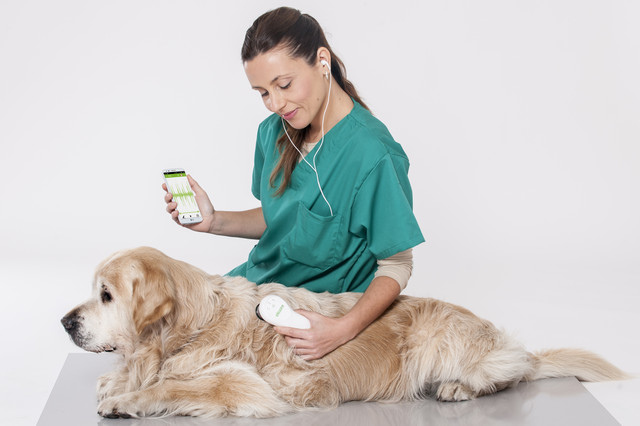 Ветеринарный электронный стетоскоп eKuore Vet II