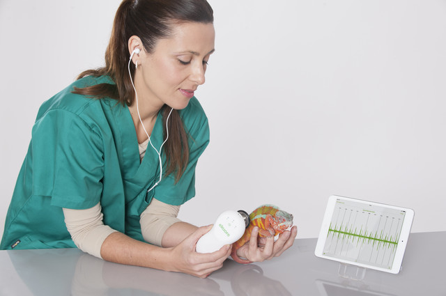 Ветеринарный электронный стетоскоп eKuore Vet II