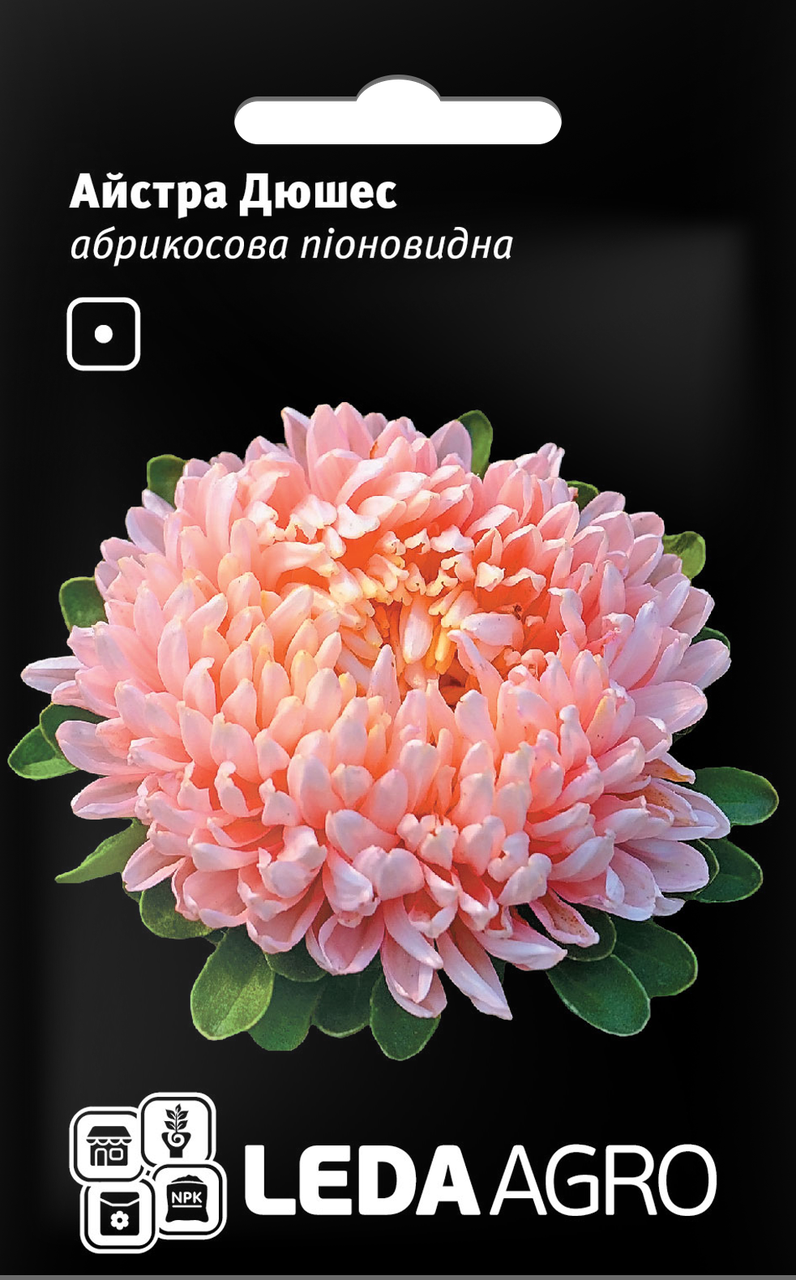 

Семена Астра пионовидная Дюшес абрикосовая 0,2г LEDAAGRO