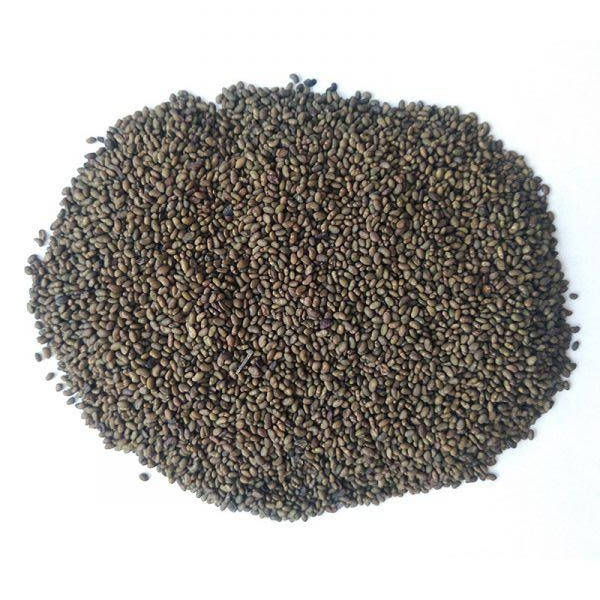 

Насіння люцерни 10 кг