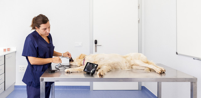 Ветеринарный эндоскоп eKuore