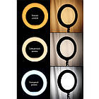 ОПТ Кільцева LED лампа SLP-G500 45см зі штативом і пультом, фото 5