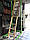 Горищні сходи дерев'яні Fakro LWS Smart H 305 60х130, фото 6