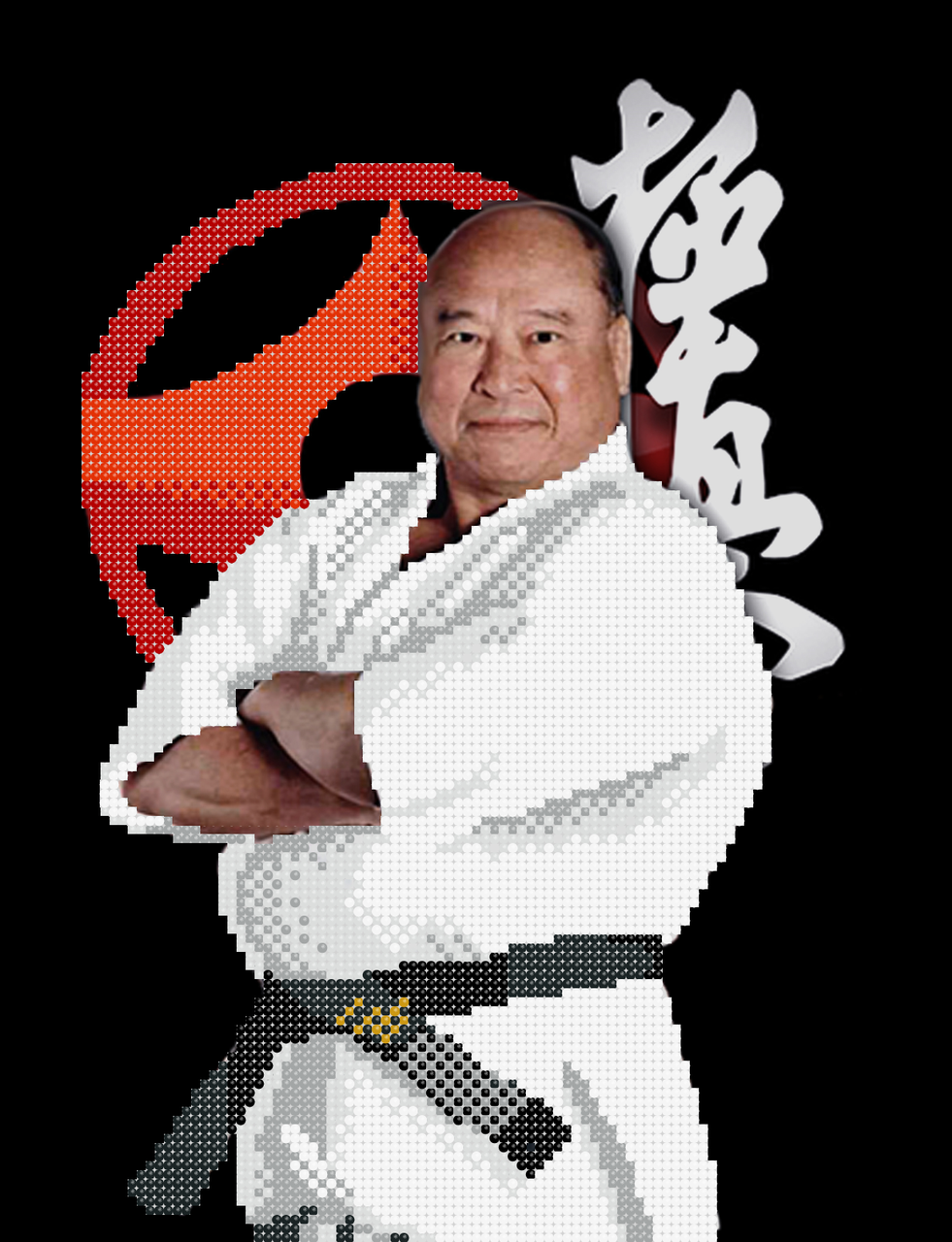 Сенсей. Схема вишивки бісером, фото 1