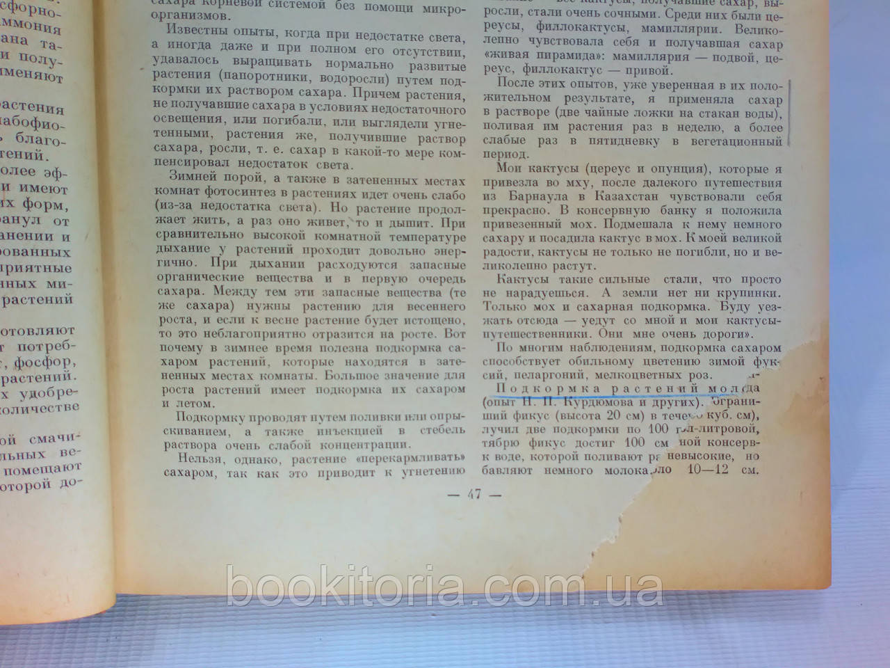 Киселев Г. и др. Комнатное садоводство (б/у). - фото 10 - id-p1221613530