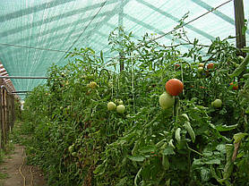 Сітка затінюють KARATZIS (Греція) 85% 6*50м, фото 2