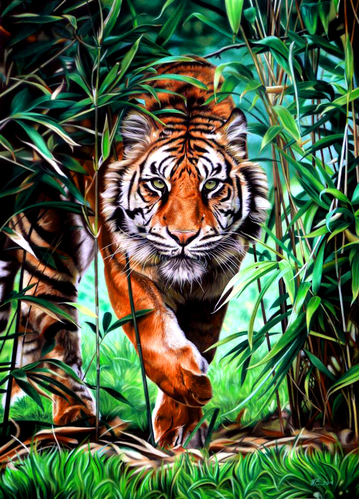 Картина за номерами Тигр у бамбуковому гаю, кольорове полотно, 40*50 см, без коробки