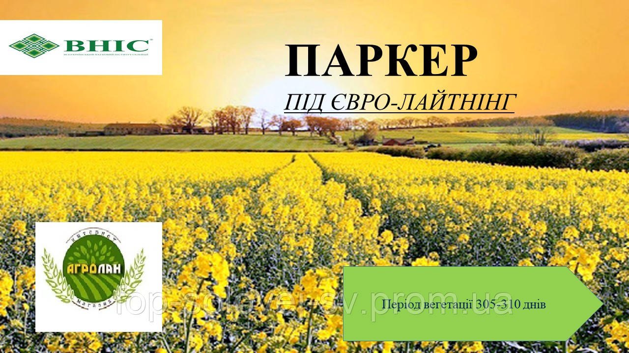 Рапс озимий Паркер ІМІ 305-310 дн. 2020г.