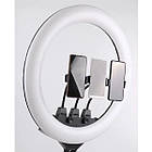 ОПТ Кільцева LED лампа SLP-G500 45см зі штативом і пультом, фото 3