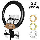 ОПТ Кільцева LED лампа ZB-F488 55см зі штативом і пультом, фото 2