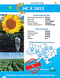 Насіння соняшника НС Х 2652 Екстра (Під Гранстар), фото 3
