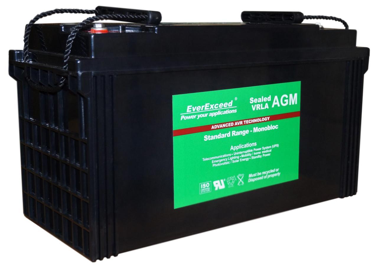 Акумулятор EverExceed ST-12120, фото 1