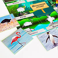 Гра на липучках «Екзотичні птахи»