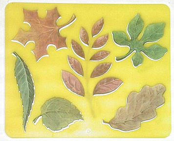 Трафарет "Листя дерев" №9С527-08(10)