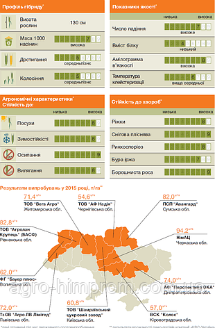 Насіння Жито озиме Бразетто KWS 2019 р/в, Німеччина/ Жито озиме потенціал 102,9, фото 2