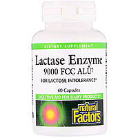 Ензим Лактазы, Lactase Enzyme, Natural Factors, 9000 FCC ALU, 60 Капсул