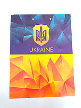 Планшет з притиском CLIPBOARD, кольоровий, А4, PP-покриття, Україна