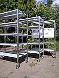 Стелаж для сиру 1200*600*1800мм, на колесах, в 304 нж, фото 4