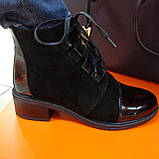 Шкіряні замш жіночі черевики демісезонні чорні, фото 2