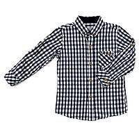 Рубашка для мальчиков Tommy life 104 сине-белая 10315