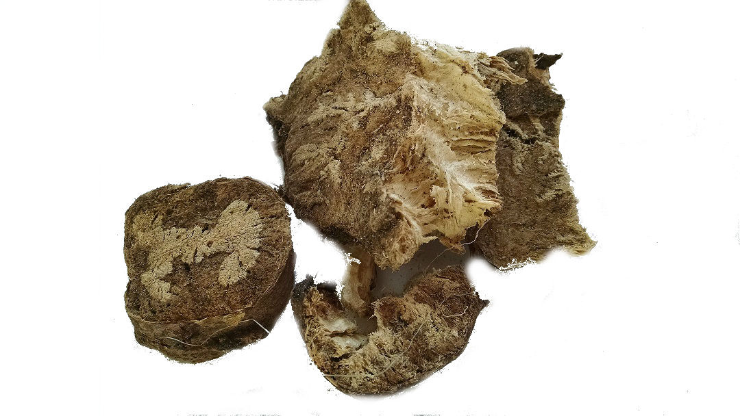 Купить Ферула Джунгарская корень 50 грамм / Омик в Харькове от компании ...