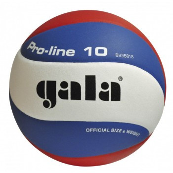 М'яч волейбольний GALA Pro-Line 10 BV5581S