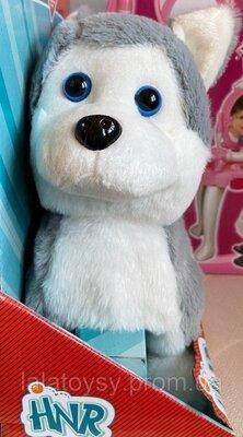 Іграшка Песик Хаскі на повідку, фото 3