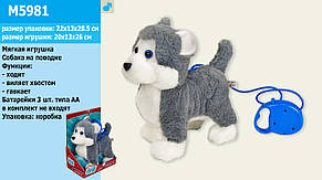 Іграшка Песик Хаскі на повідку, фото 2