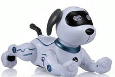 Розумна собака на радіоуправлінні, фото 3