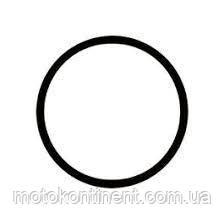 6D8-24564-00 Ущільнене кільце паливного фільтра Yamaha/ Mercury F40-F115