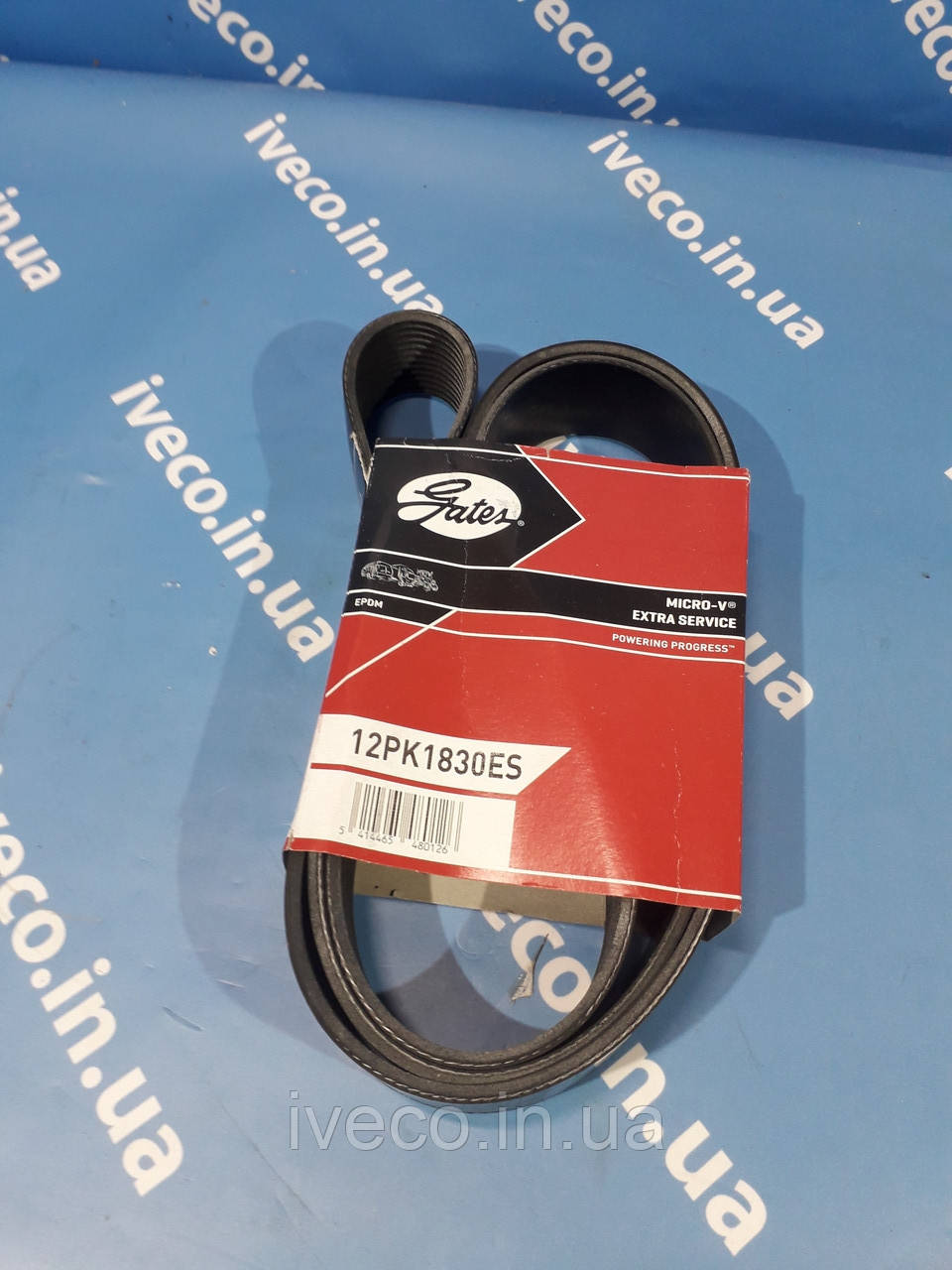 Ремінь генератора Iveco Trakker Stralis EuroTrakker Івеко 13 курсор 504022568 504049426 12PK1830HD 12PK1835HD, фото 1